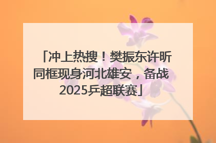 冲上热搜！樊振东许昕同框现身河北雄安，备战2025乒超联赛