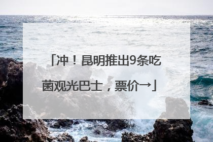 冲！昆明推出9条吃菌观光巴士，票价→