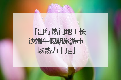 出行热门地！长沙端午假期旅游市场热力十足