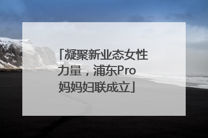 凝聚新业态女性力量，浦东Pro妈妈妇联成立
