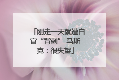 刚走一天就遭白宫“背刺” 马斯克：很失望
