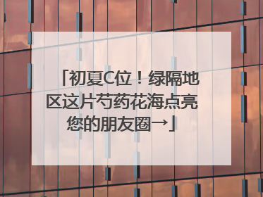 初夏C位！绿隔地区这片芍药花海点亮您的朋友圈→