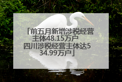 前五月新增涉税经营主体48.15万户 四川涉税经营主体达534.99万户