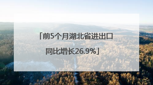 前5个月湖北省进出口同比增长26.9%