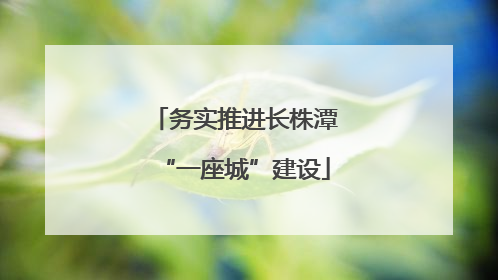务实推进长株潭“一座城”建设