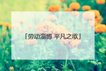 劳动淄博 平凡之歌