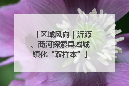 区域风向｜沂源、商河探索县域城镇化“双样本”