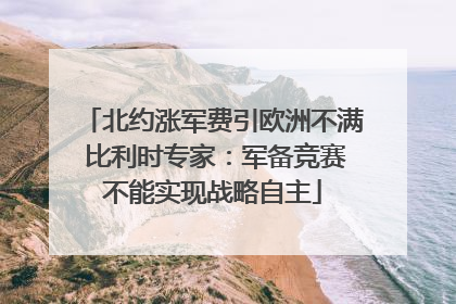 北约涨军费引欧洲不满 比利时专家：军备竞赛不能实现战略自主