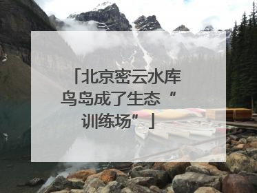 北京密云水库鸟岛成了生态“训练场”