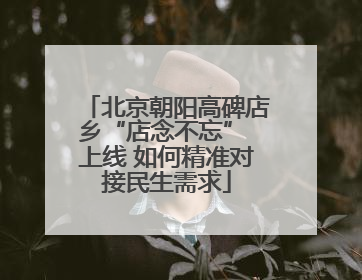 北京朝阳高碑店乡“店念不忘” 上线 如何精准对接民生需求