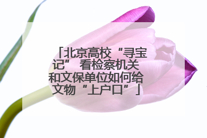 北京高校“寻宝记” 看检察机关和文保单位如何给文物“上户口”