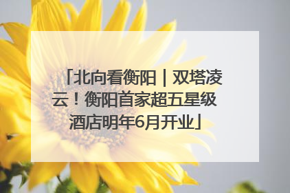 北向看衡阳｜双塔凌云！衡阳首家超五星级酒店明年6月开业