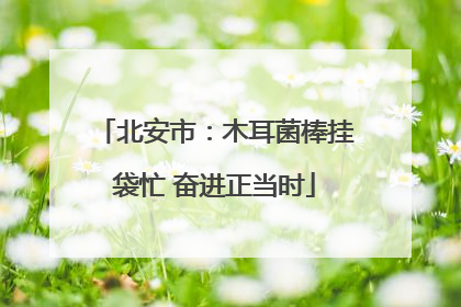 北安市：木耳菌棒挂袋忙 奋进正当时