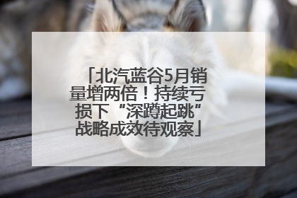 北汽蓝谷5月销量增两倍！持续亏损下“深蹲起跳”战略成效待观察
