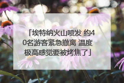 埃特纳火山喷发 约40名游客紧急撤离 温度极高感觉要被烤焦了