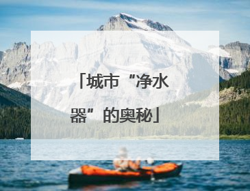 城市“净水器”的奥秘