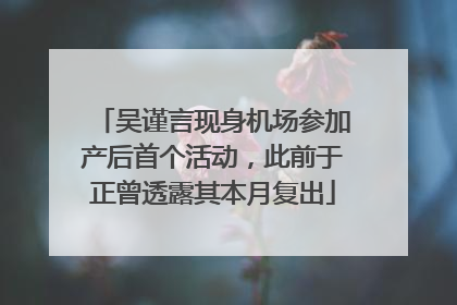吴谨言现身机场参加产后首个活动，此前于正曾透露其本月复出