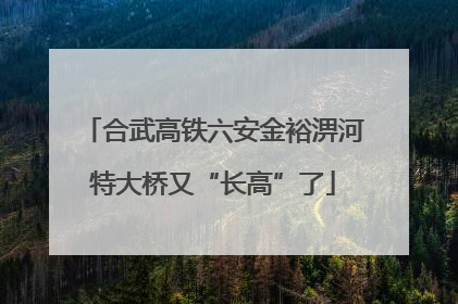 合武高铁六安金裕淠河特大桥又“长高”了