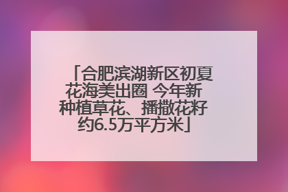 合肥滨湖新区初夏花海美出圈 今年新种植草花、播撒花籽约6.5万平方米
