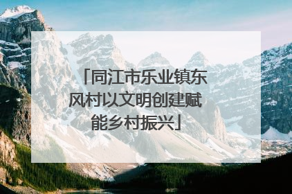 同江市乐业镇东风村以文明创建赋能乡村振兴