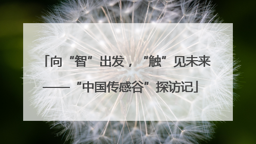 向“智”出发，“触”见未来——“中国传感谷”探访记