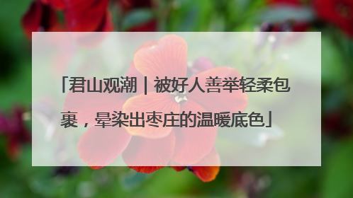 君山观潮｜被好人善举轻柔包裹，晕染出枣庄的温暖底色