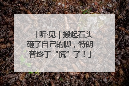 听·见｜搬起石头砸了自己的脚，特朗普终于“慌”了！