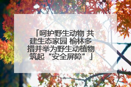 呵护野生动物 共建生态家园 榆林多措并举为野生动植物筑起“安全屏障”