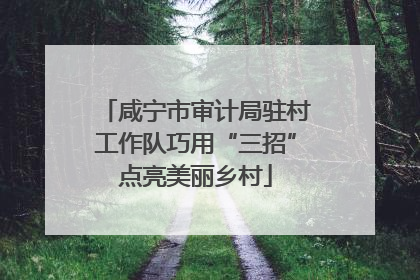 咸宁市审计局驻村工作队巧用“三招”点亮美丽乡村