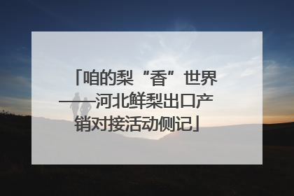 咱的梨“香”世界——河北鲜梨出口产销对接活动侧记