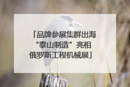 品牌参展集群出海 “泰山制造”亮相俄罗斯工程机械展