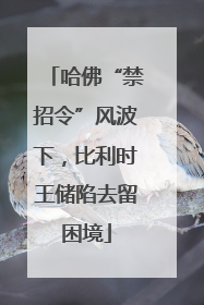 哈佛“禁招令”风波下，比利时王储陷去留困境