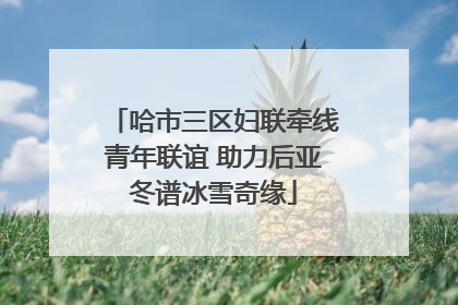 哈市三区妇联牵线青年联谊 助力后亚冬谱冰雪奇缘