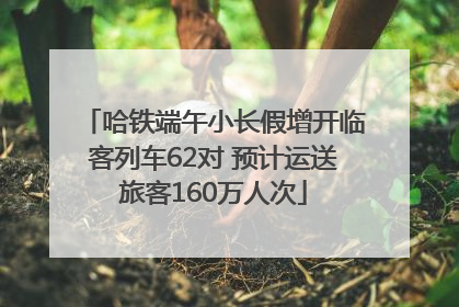 哈铁端午小长假增开临客列车62对 预计运送旅客160万人次