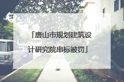 唐山市规划建筑设计研究院串标被罚