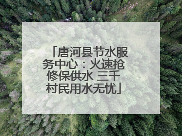唐河县节水服务中心：火速抢修保供水 三千村民用水无忧