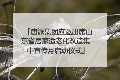 唐派集团应邀出席山东省居家适老化改造集中宣传月启动仪式