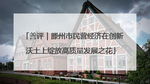 善评｜滕州市民营经济在创新沃土上绽放高质量发展之花