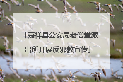 嘉祥县公安局老僧堂派出所开展反邪教宣传