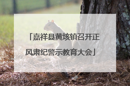 嘉祥县黄垓镇召开正风肃纪警示教育大会