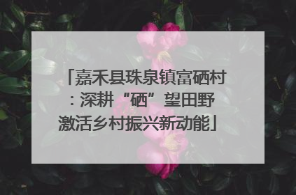 嘉禾县珠泉镇富硒村：深耕“硒”望田野 激活乡村振兴新动能