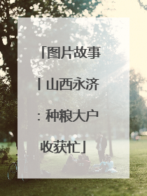 图片故事丨山西永济：种粮大户收获忙