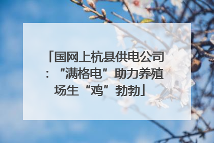 国网上杭县供电公司：“满格电”助力养殖场生“鸡”勃勃