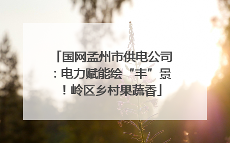 国网孟州市供电公司：电力赋能绘“丰”景！岭区乡村果蔬香