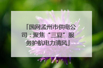 国网孟州市供电公司：聚焦“三夏”服务护航电力清风