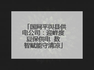 国网平舆县供电公司：迎峰度夏保供电  数智赋能守清凉