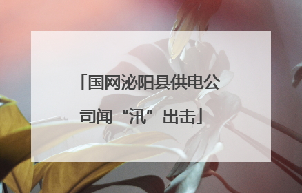 国网泌阳县供电公司闻“汛”出击