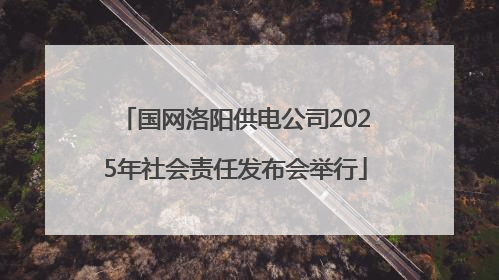 国网洛阳供电公司2025年社会责任发布会举行