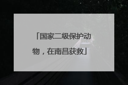 国家二级保护动物，在南昌获救