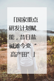 国家重点研发计划赋能，昔日盐碱滩今变“高产田”